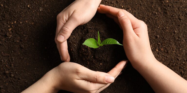 Seasonal Planting Guide: What to Plant in Each Season