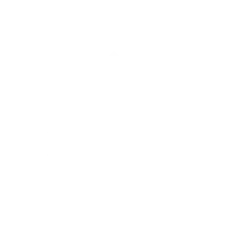 Meeranursery – Quality Plants, Sustainable Gardening